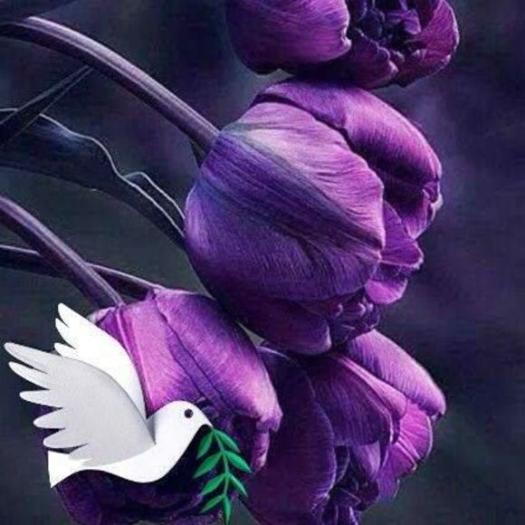 Meet your Posher, Patricia - Picture 1 of 1